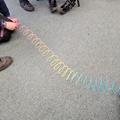 Earthquake Slinky Demonstration