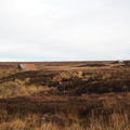 A photo of DPhil student Catherine Baldwin sampling on the Isle of Lewis, hardly visible as she is in a small valley of peat near a stream, February 2025.