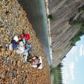 Sampling in a mosquito suit near Rock river, Yukon, June 2024   