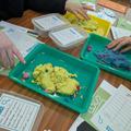 Climate Detectives Samples