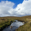 Stream running through a peatland valley, with blue sky and white clouds in the background
