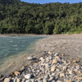 A clear blue river and muddy brown river meet, with a pebbly beach in the foreground and forested slope in the background.