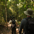 Two people hiking with rucksacks and field equipment along a rainforest trail.