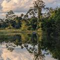 A view over a rainforest lake with reflection, with a small dinghy used for taking samples.