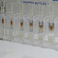 Laboratory chemistry set-up with multiple plastic 'columns' containing a yellow-brown resin, with clear liquid dripping through each and being collected in small beakers underneath.
