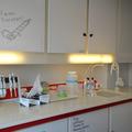 Clean Suite Red Lab Benches