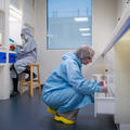 Clean Suite Researcher in the Lab