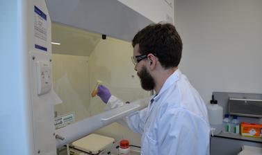 Researcher inspecting a test tube inside a lab fume cupboard