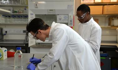 Researchers writing in the biogeochemistry lab