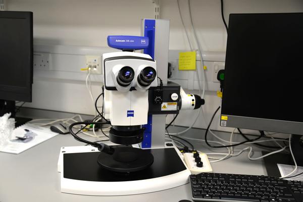 Closeup of a Zeiss SteREO Discovery V12 stereo microscope on a lab bench