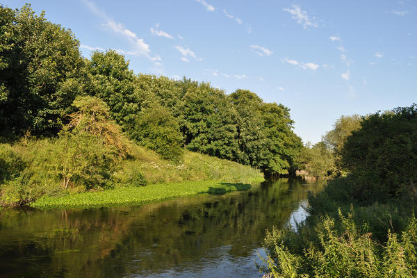 River Wandle River Wandle (Image Credit: stevekeiretsu, Flickr)