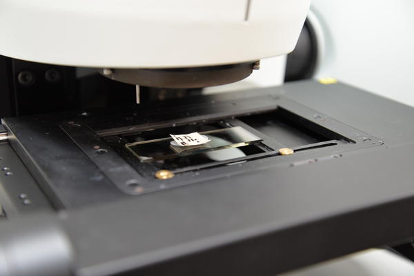 Fourier-Transform infrared (FTIR) spectrometer