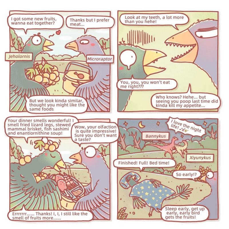 Birds Cartoon Strip (2) A cartoon storyboard of some birds
