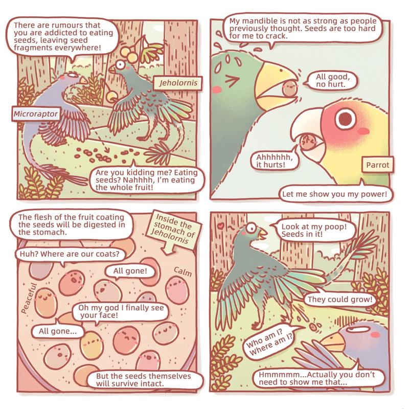 Birds Cartoon Strip A cartoon strip of some birds