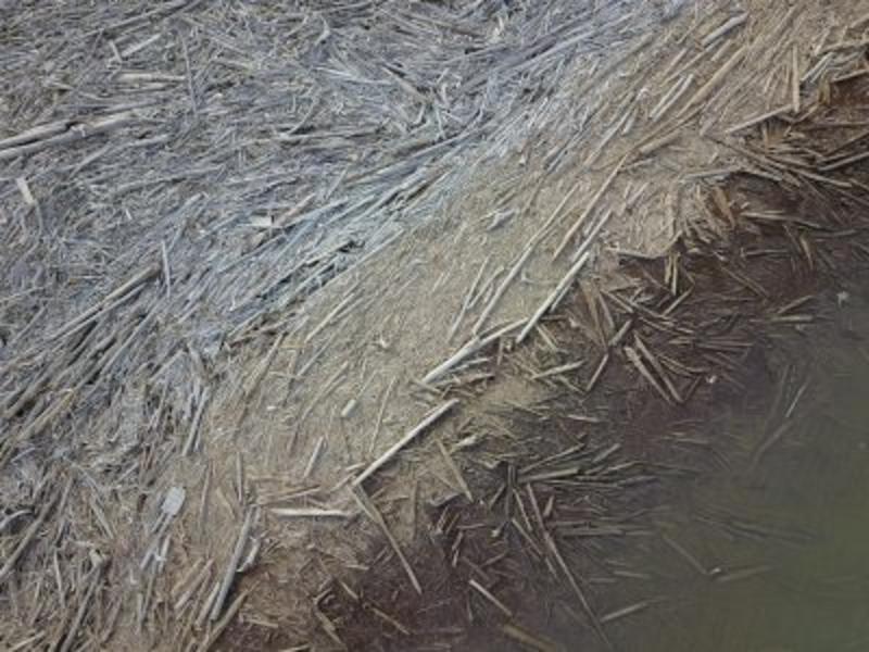 Aerial image of a log jam. The bottom right is brown murky water, the top left is white woody logs, they grade into the water.