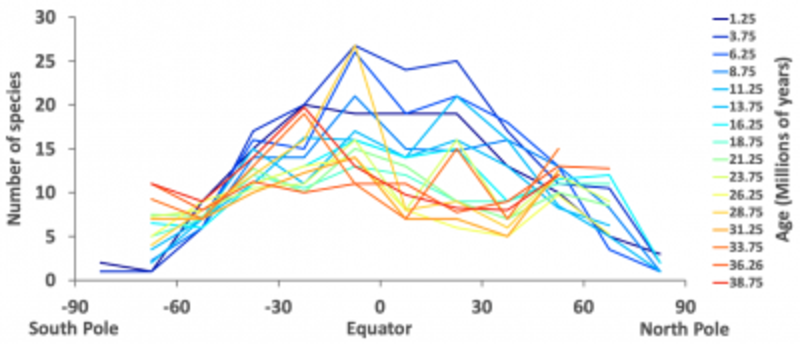 A graph showing latitudinal diversity through time of foraminifera species