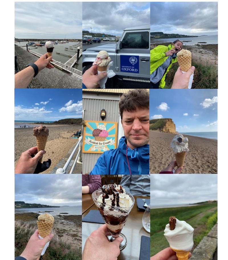 A collage of photos of 