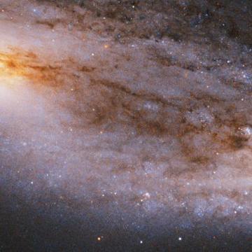 Hubble telescope image of a cloud of cosmic dust and stars
