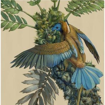 Bird Illustration An illustration of a bird