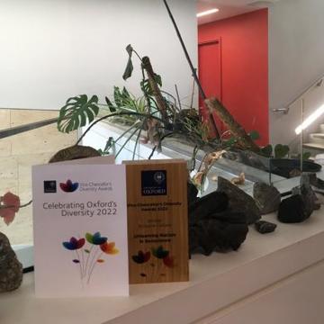 The wooden EDI award trophy siting on a white windowsill in the Earth Science department along with some plants.