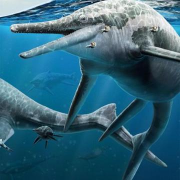 Triassic ichthyosaurs Artist’s life reconstruction of adult and newly born Triassic ichthyosaurs, credit: Gabriel Ugueto.