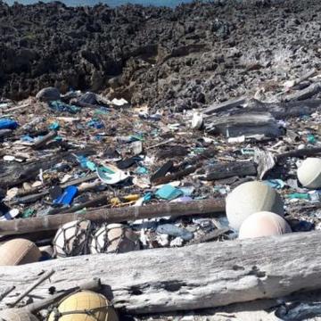 Plastic on beach A close up of a beach filled with plastic waste and drift wood