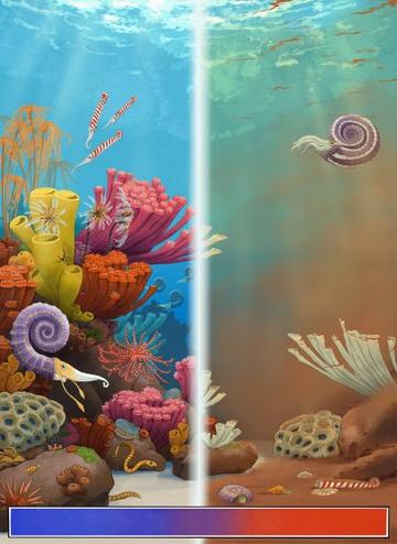 Image split down the middle - the left shows an artist's drawing of a thriving reef, and the right shows a distressed, dying reef