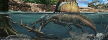 An artists interpretation of a spinosaurus swimming