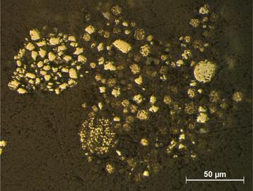 Pyrites