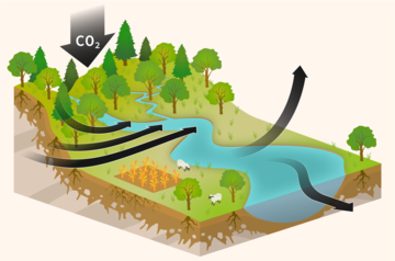 Image depicts the global carbon cycle with trees and plants absorbing CO₂ and it being released back into the atmosphere from rivers via deep and shallow soil layers. Image Credit: University of Bristol / sciencegraphicdesign.com