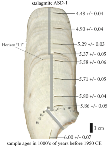 Cross section of a stalagmite Cross section of a stalagmite with layer ages labelled