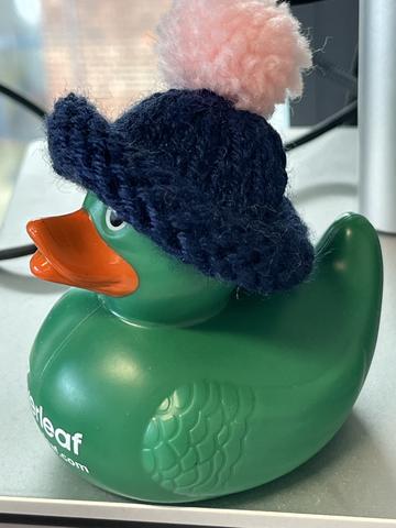 A rubber duck wearing a hat