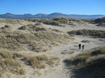 Beige sanddunes covered in grassy plants in the fore and mid ground with mountains rising up in the background. Footprints are visible along the foreground dunes leading up to two people who are walking into the distance.