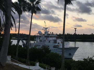 Bermuda field trip RVAE
