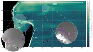 A figure from Noam's research
