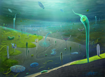 Reconstruction of Jiangchuan biota, a seafloor of odd-looking species rooted into the ground, in a variety of different shapes: tubes, cups and u-shapes.