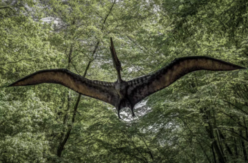 Model of Pterodactyl flying through a forest