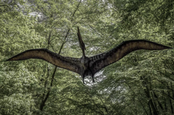 Model of Pterodactyl flying through a forest Model of Pterodactyl flying through a forest