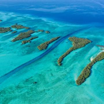 Photograph of the Aldabra atoll from above