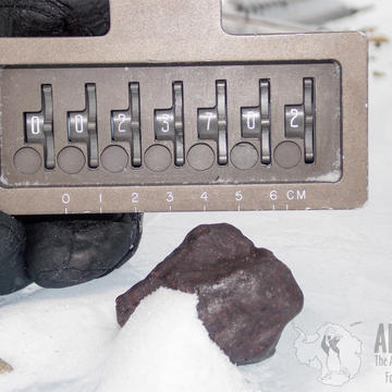 LAR12252 Meteorite in the Snow The meteorite used in this study - LAR12252 - when it was discovered in Antarctica. Credit: The ANSMET (ANtarctic Search for METeorites) Program, Case Western Reserve University and the University of Utah.