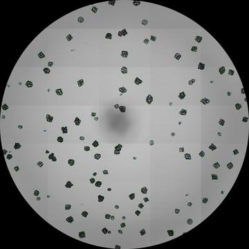 Optical image of carbonate minerals forming in-situ in a 96-well plate